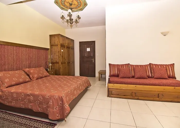 Pliades 酒店 帕拉塔蒙